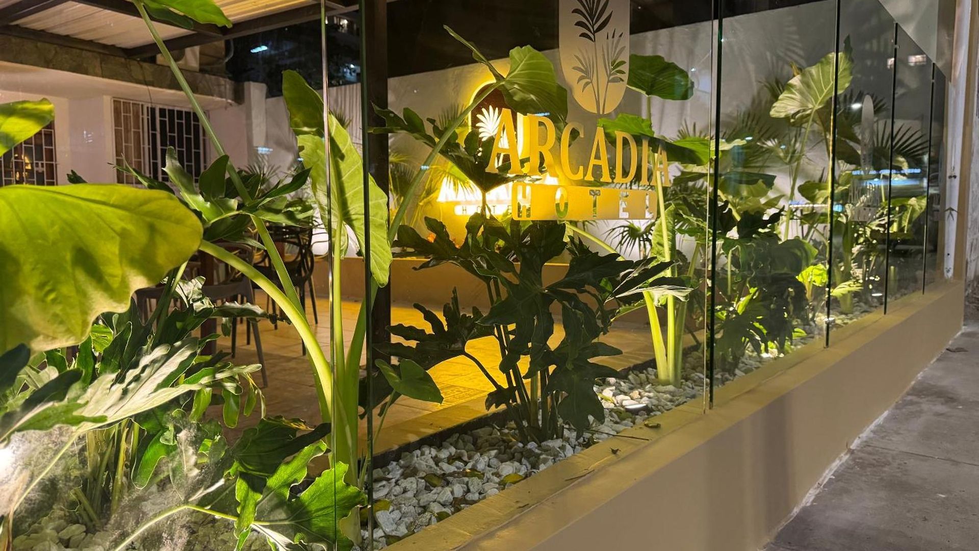 Arcadia * Cartagena