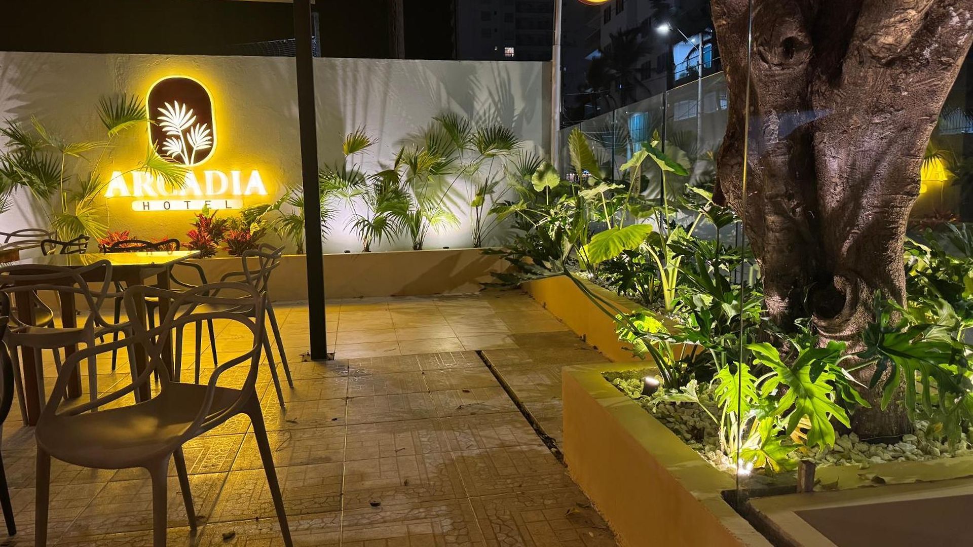 Arcadia * Cartagena